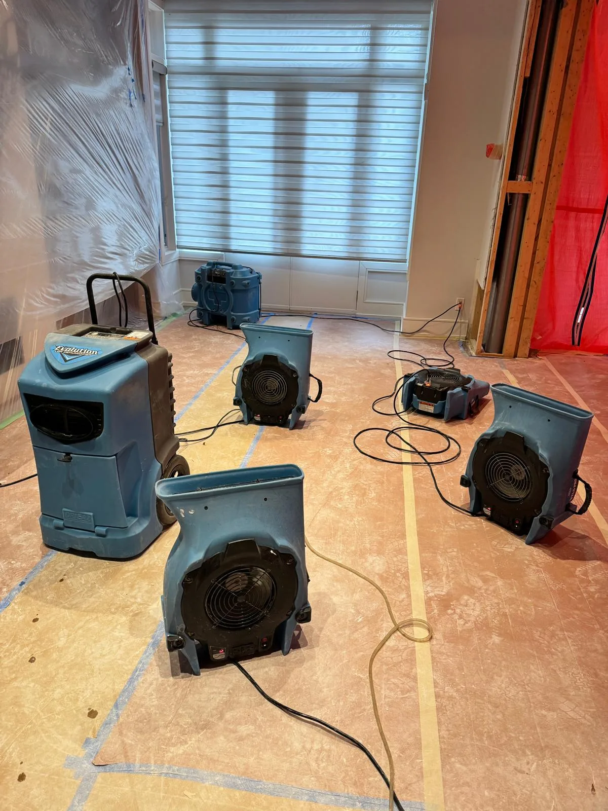 Commercial LGR dehumidifier and four air movers drying a residential basement after water damage